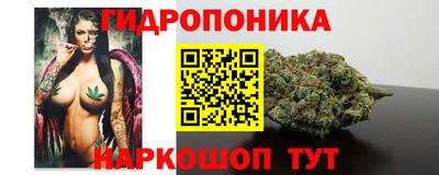 СК Новозыбков