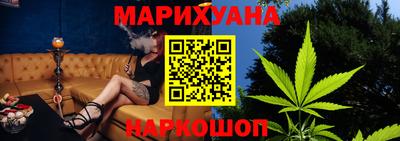 СК Новозыбков