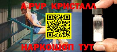 СК Новозыбков