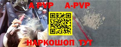 СК Новозыбков