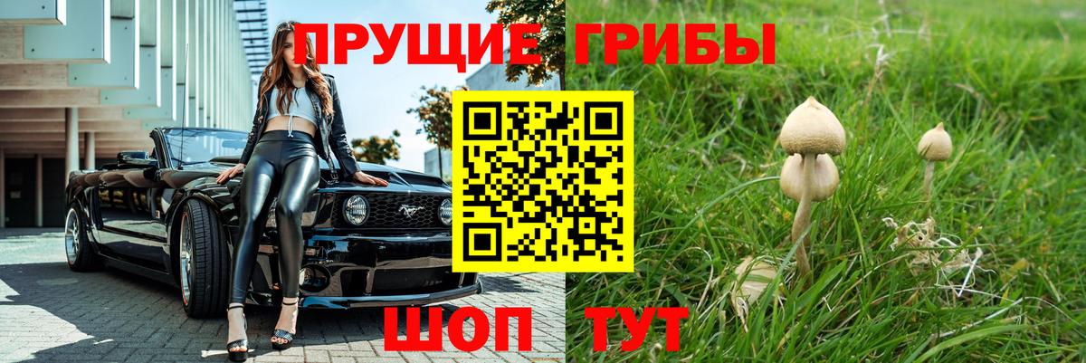 Галлюциногенные грибы прущие грибы  Галлюциногенные грибы Psilocybe  Тимашёвск  Вход с VPN 